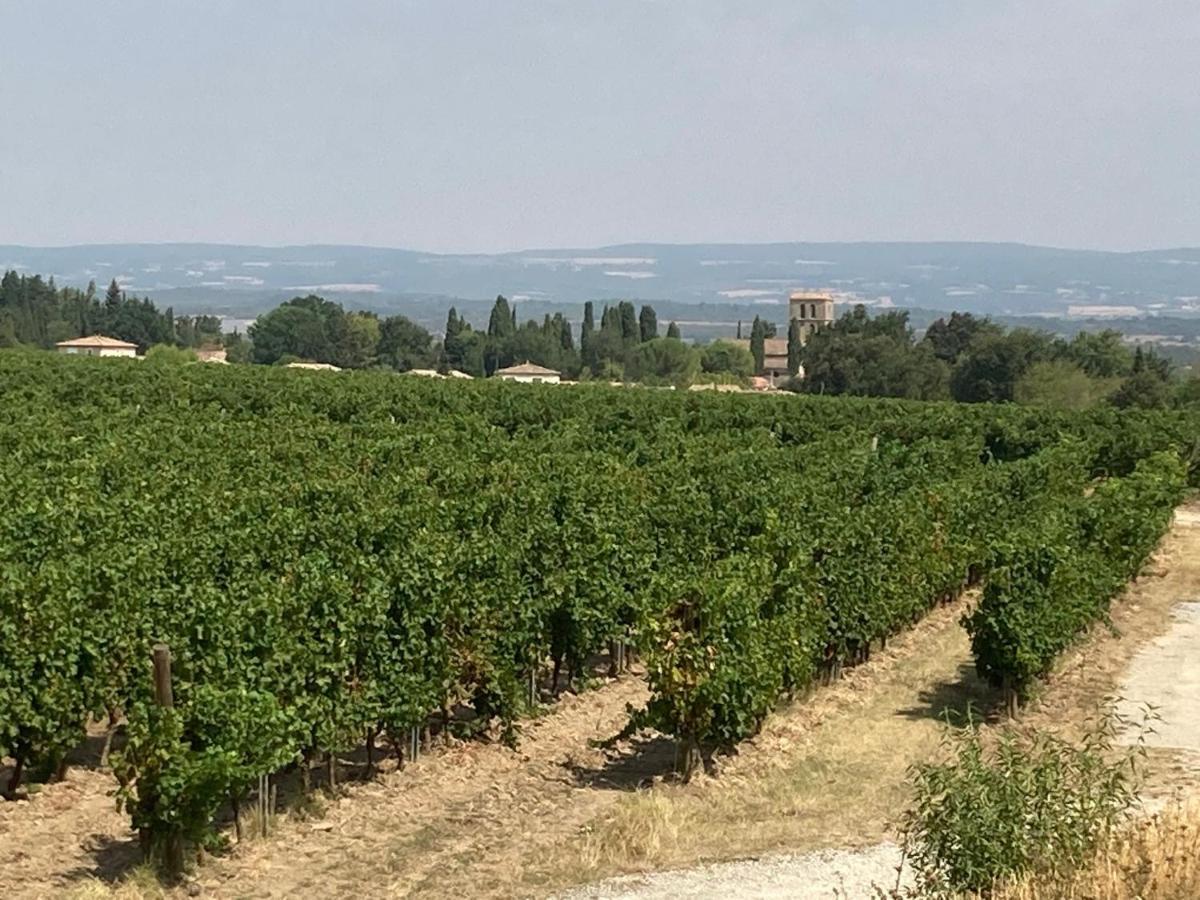 Sainte-Eulalie  Maison Delmas, L'Oustal Du Recantu מראה חיצוני תמונה