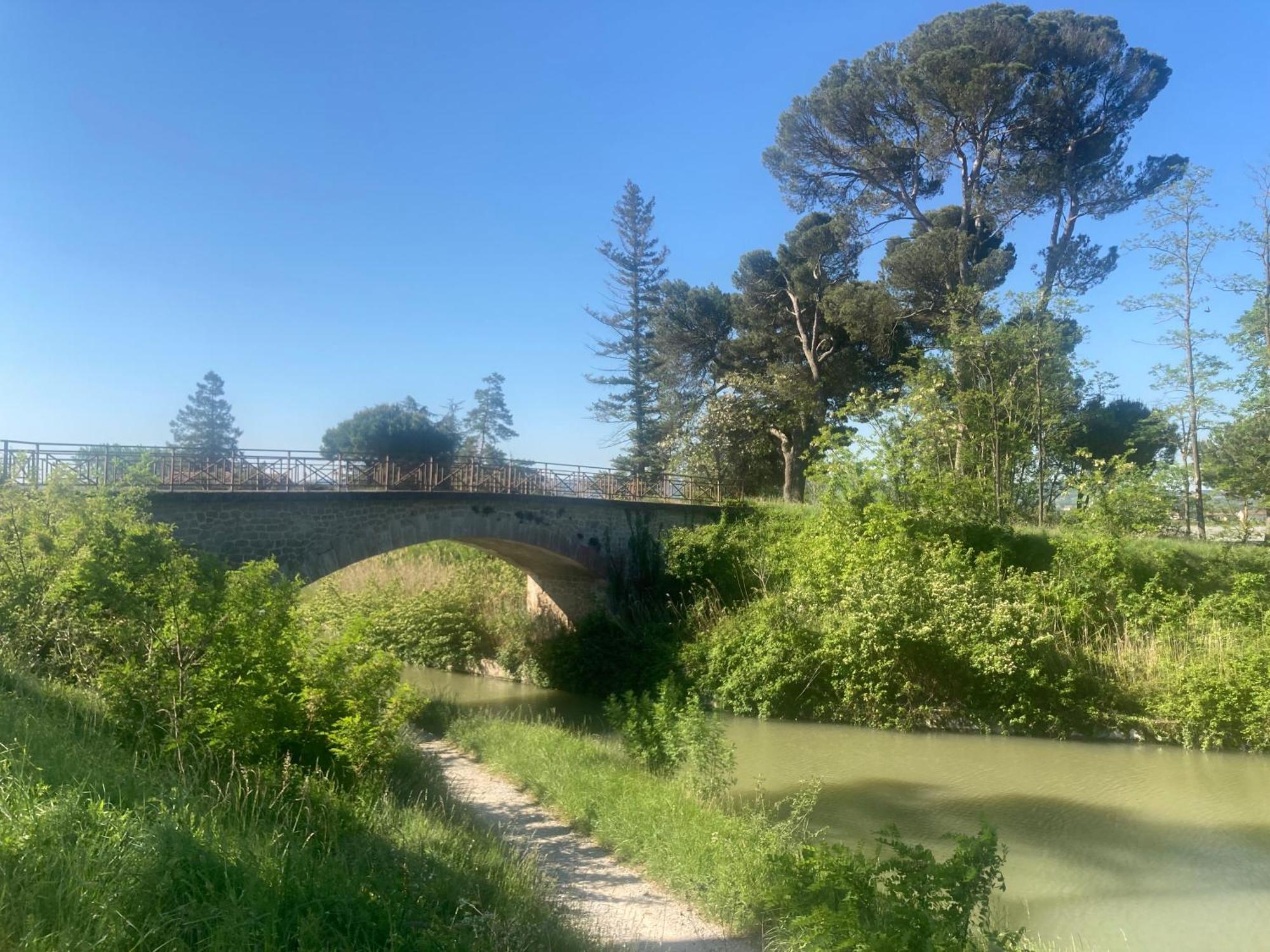 Sainte-Eulalie  Maison Delmas, L'Oustal Du Recantu מראה חיצוני תמונה